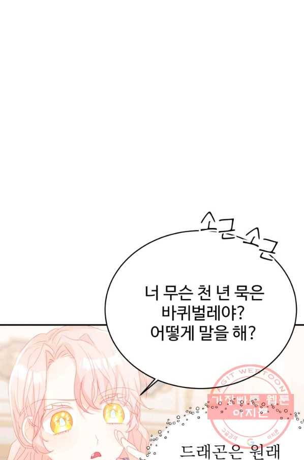 베이비 드래곤 37화 16