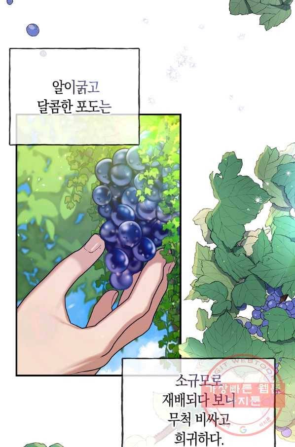 남자 주인공이 내 앞길을 가로막는다 17화 13