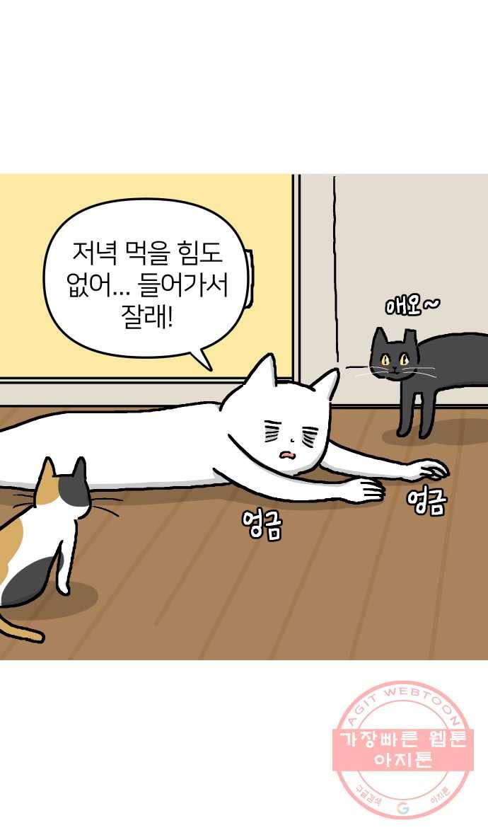 애옹식당 6화 켜켜이의 저주 9