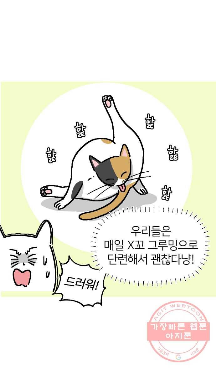 애옹식당 6화 켜켜이의 저주 21