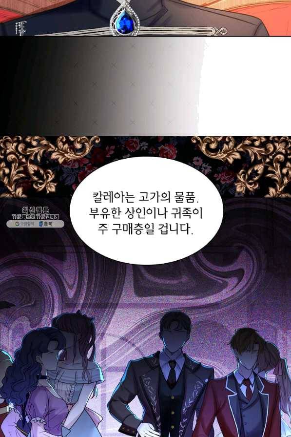 레이디 생존의 법칙 63화 15