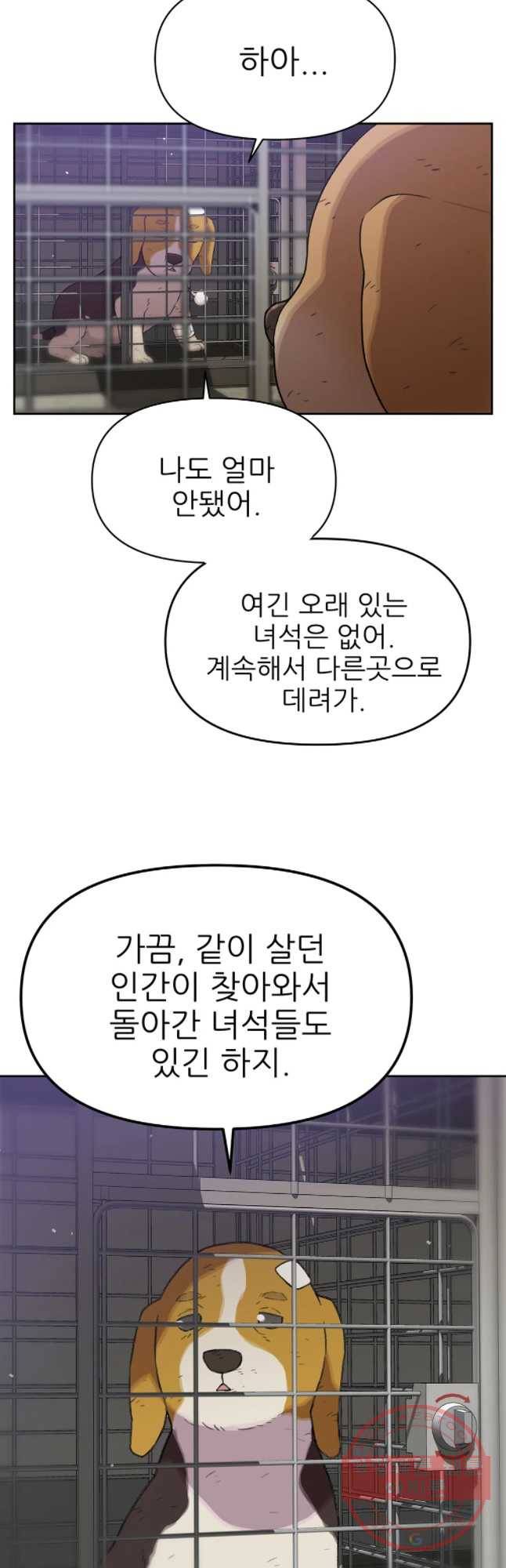 무지개다리 파수꾼 48화 4