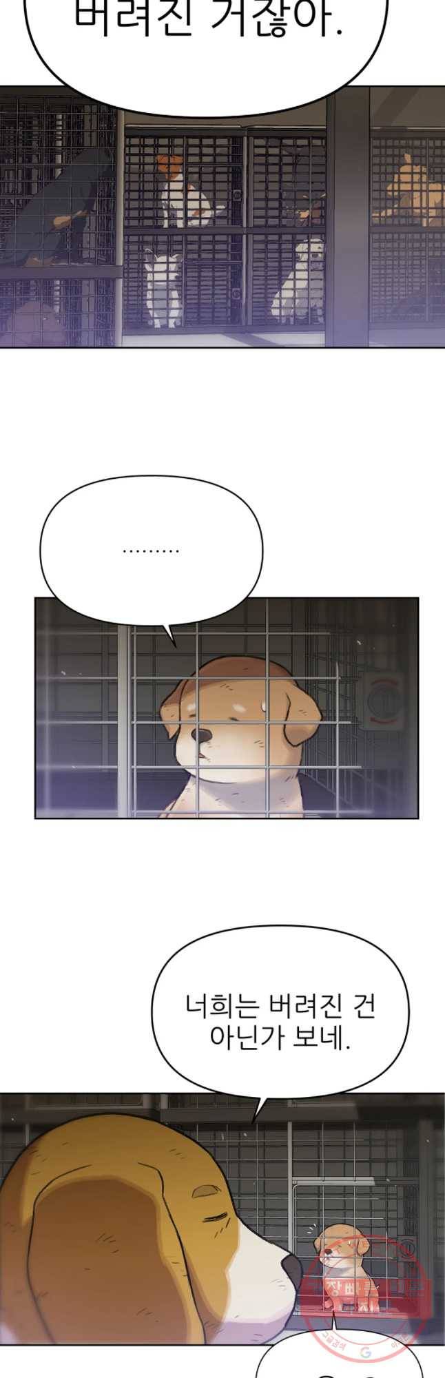 무지개다리 파수꾼 48화 6