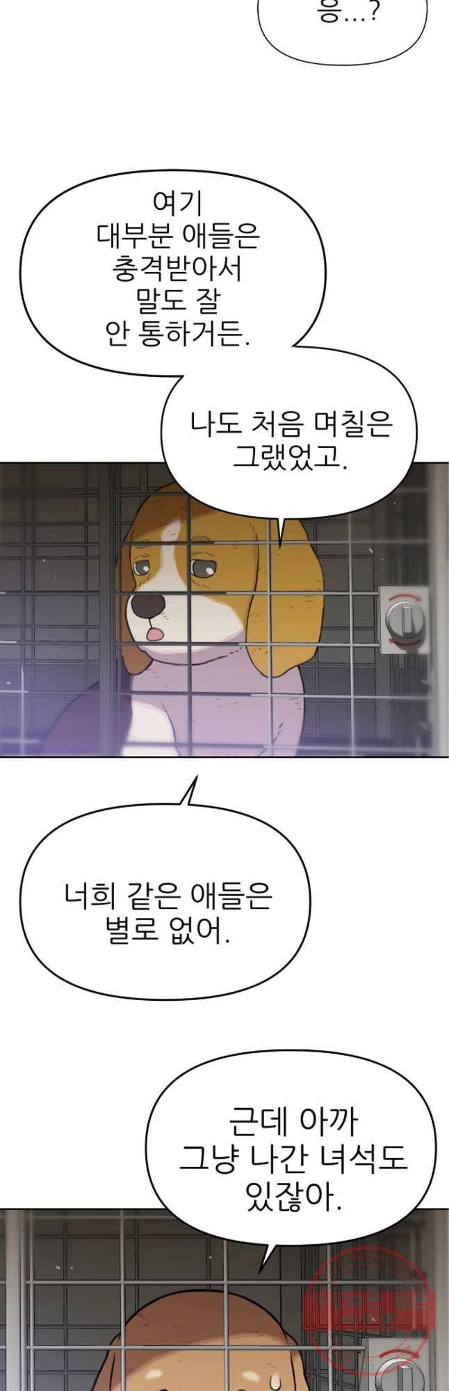 무지개다리 파수꾼 48화 7