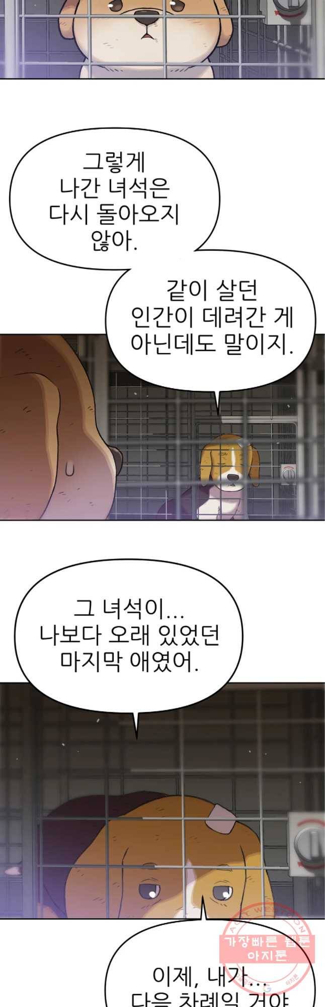 무지개다리 파수꾼 48화 8