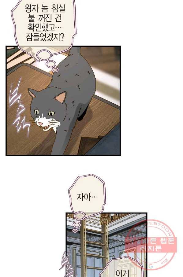 생존결혼 65화 54
