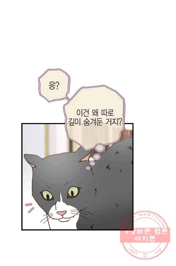 생존결혼 65화 65