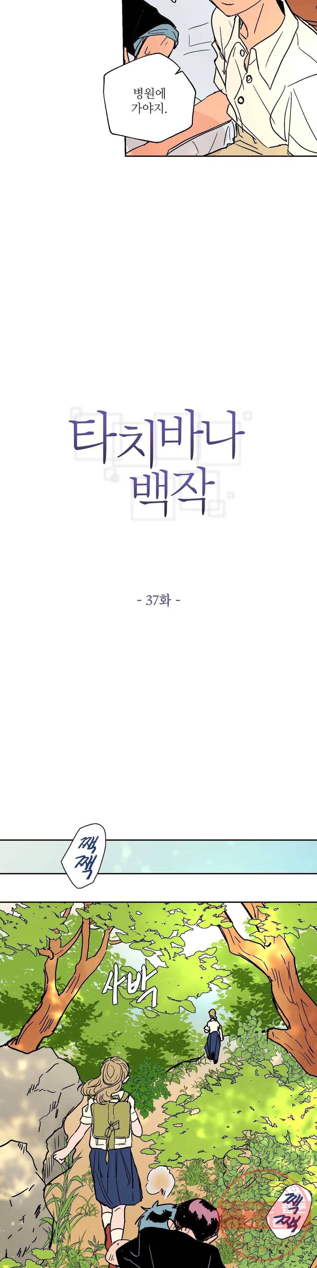 타치바나 백작 37화 2