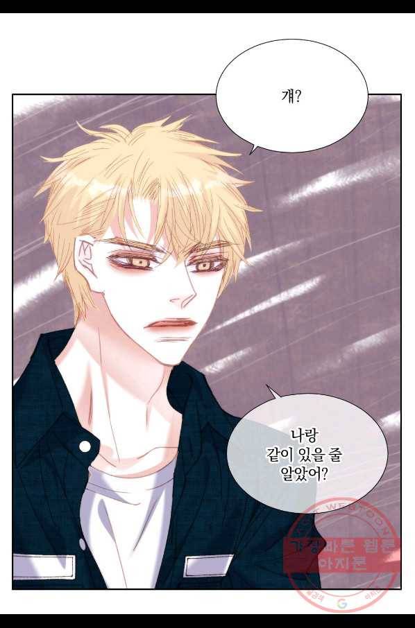 일상다정사 외전 21화 12