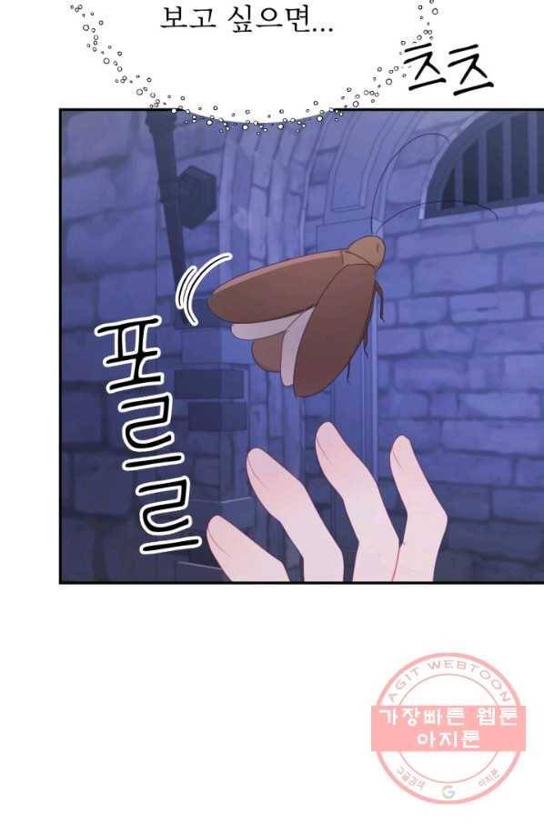 베이비 드래곤 39화 37