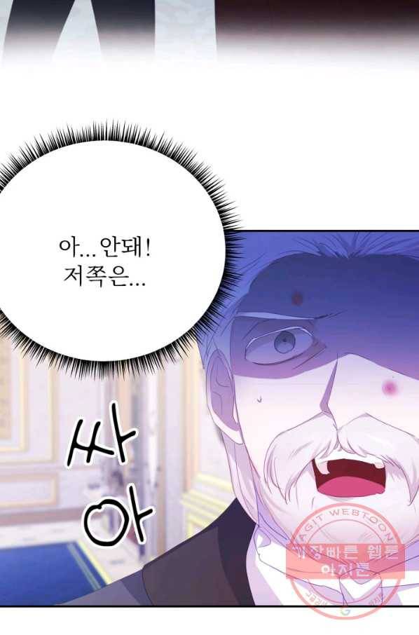 베이비 드래곤 39화 79