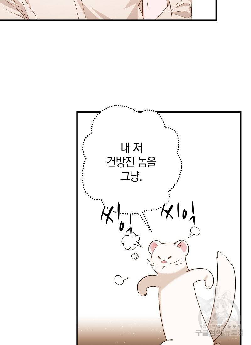 흰 족제비 양에게 죽음을! 6화 6