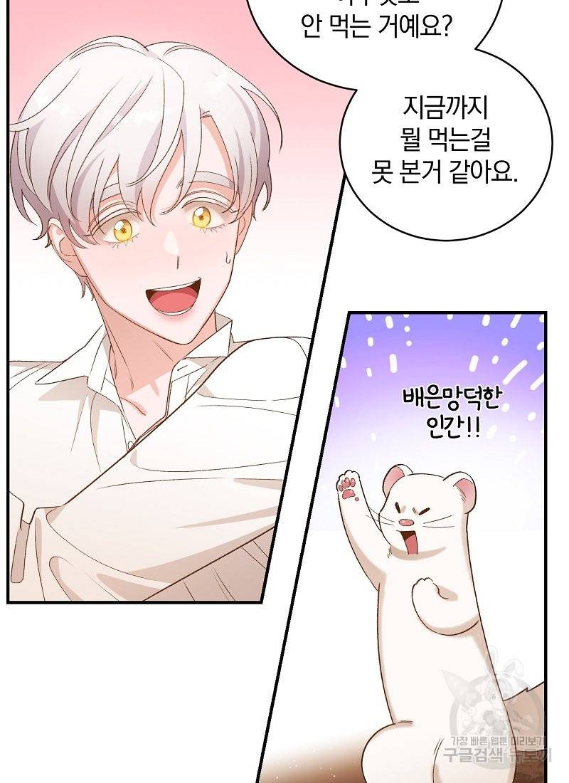 흰 족제비 양에게 죽음을! 6화 9