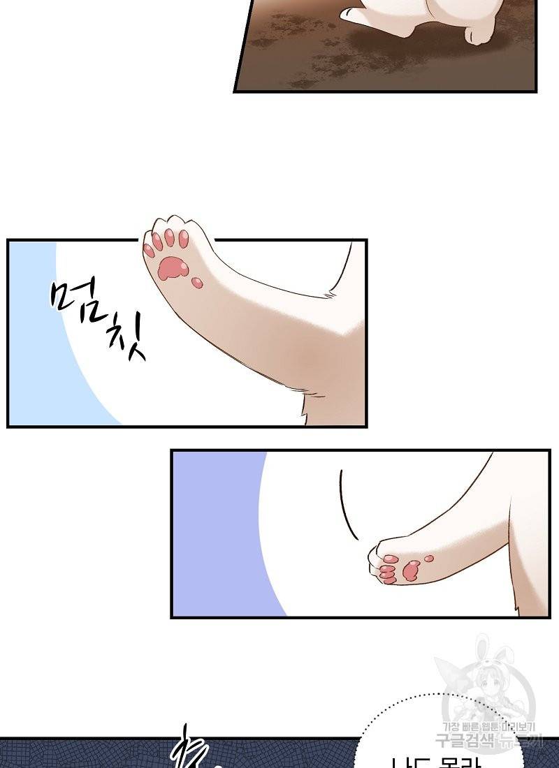 흰 족제비 양에게 죽음을! 6화 10