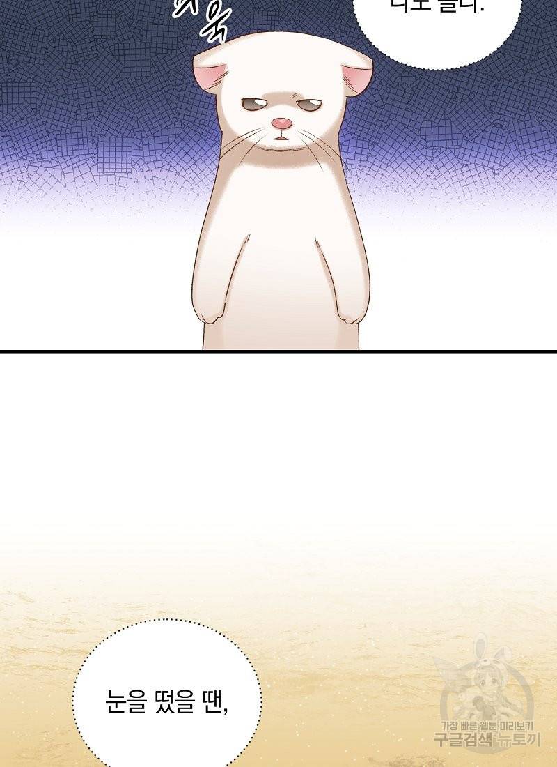 흰 족제비 양에게 죽음을! 6화 11