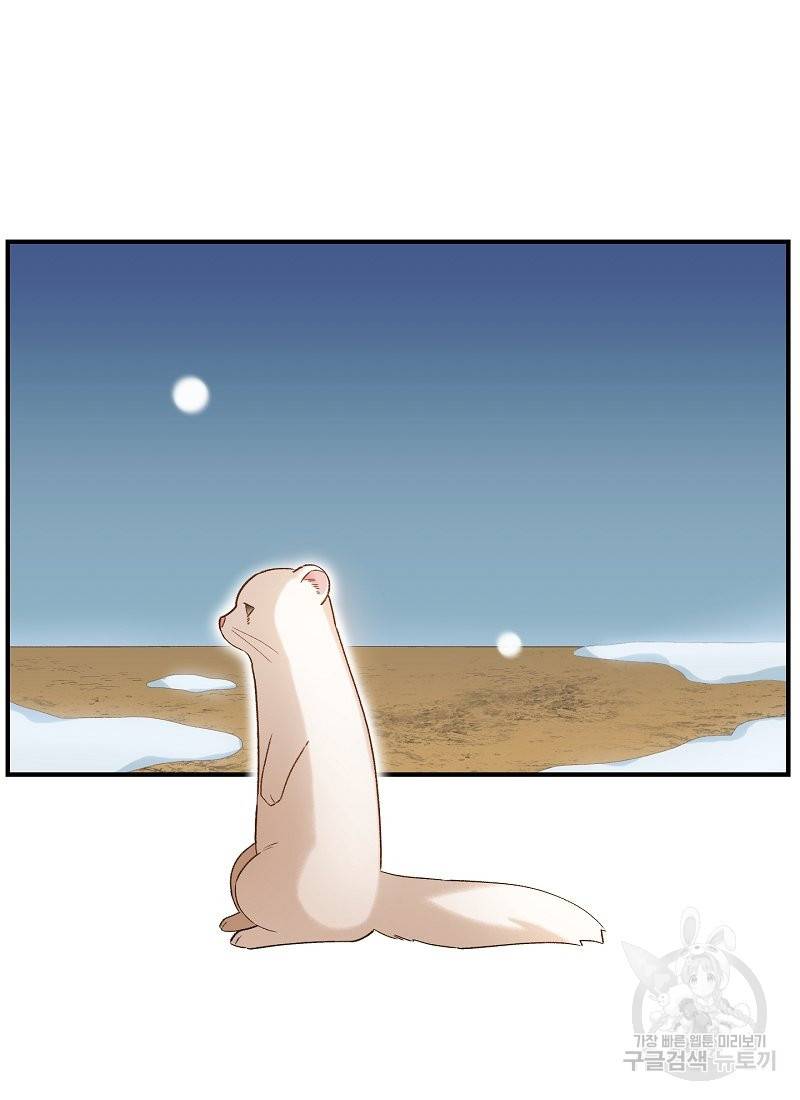 흰 족제비 양에게 죽음을! 6화 14