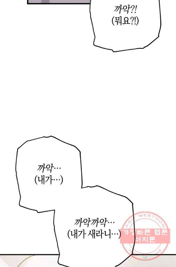 하필이면 까마귀가 되어버렸다 1화 49