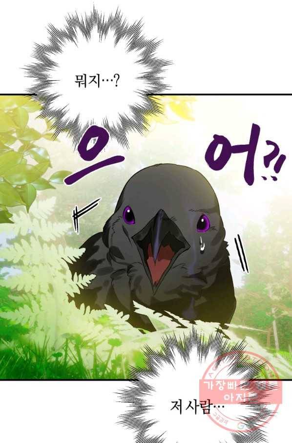 하필이면 까마귀가 되어버렸다 1화 110