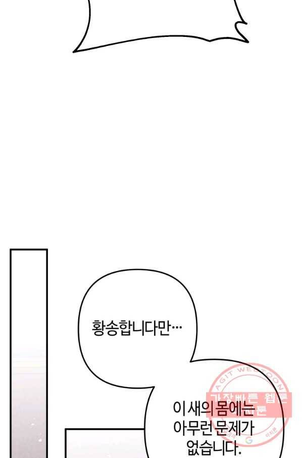 하필이면 까마귀가 되어버렸다 11화 41