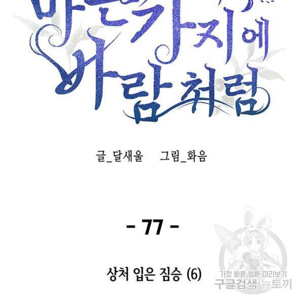 마른 가지에 바람처럼 77화 147