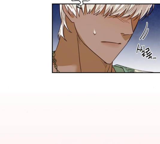 하렘의 남자들 67화 27