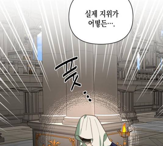 하렘의 남자들 67화 88