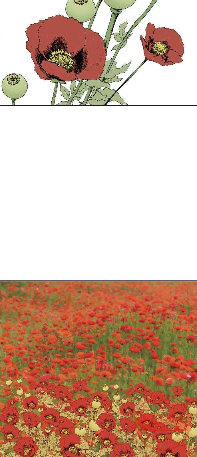 늑대처럼 홀로 5화 16