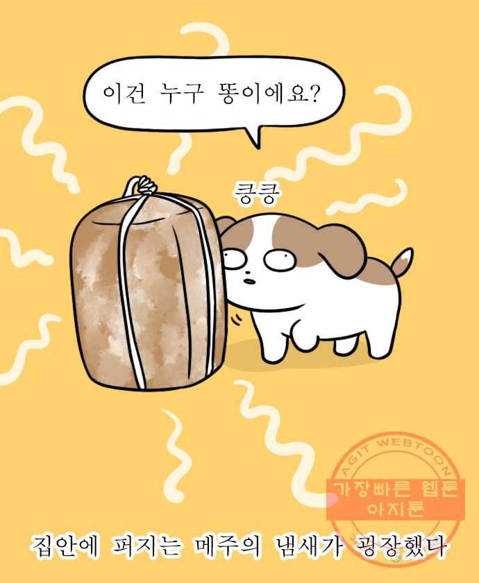 독립일기 시즌2 53화 된장 만들기 13