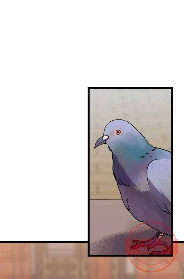 절대무신 77화 1
