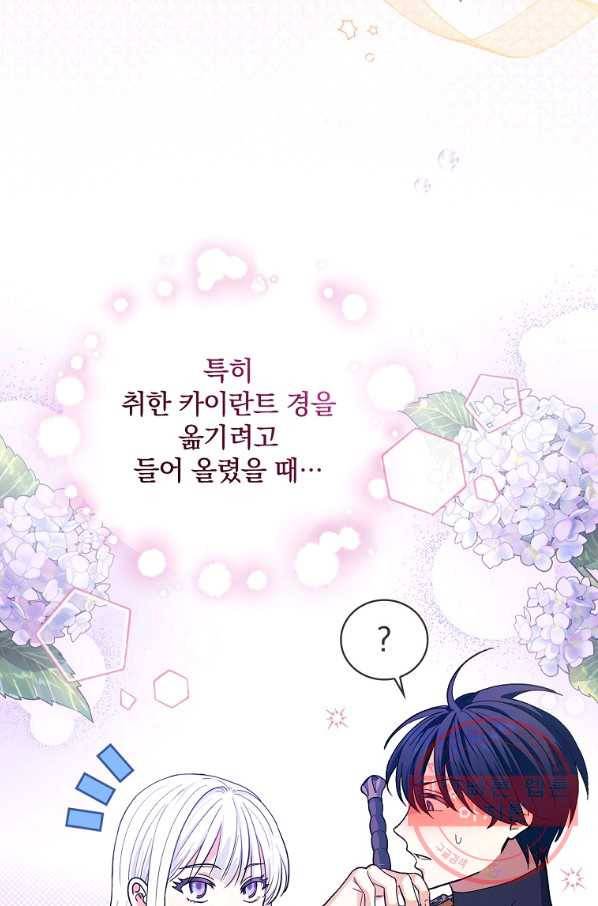 얼음꽃 기사 26화 8