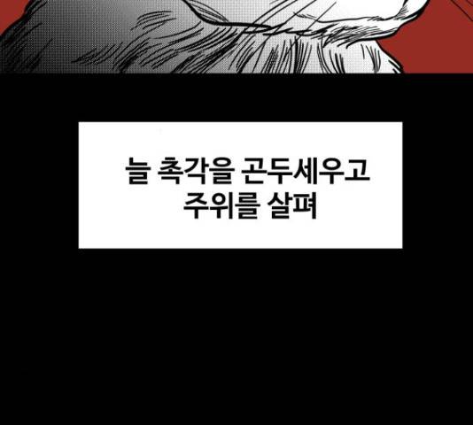 푸른불꽃 49화 15