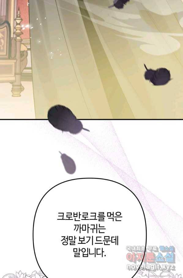 하필이면 까마귀가 되어버렸다 31화 19