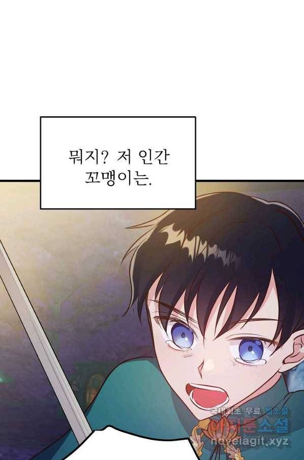 베이비 드래곤 46화 65