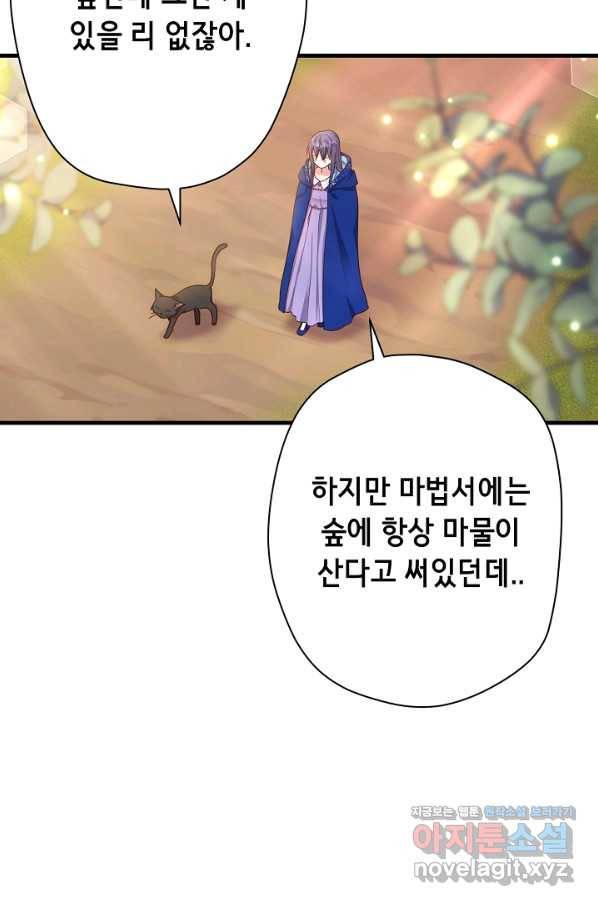 마법사를 위한 동화 23화 13