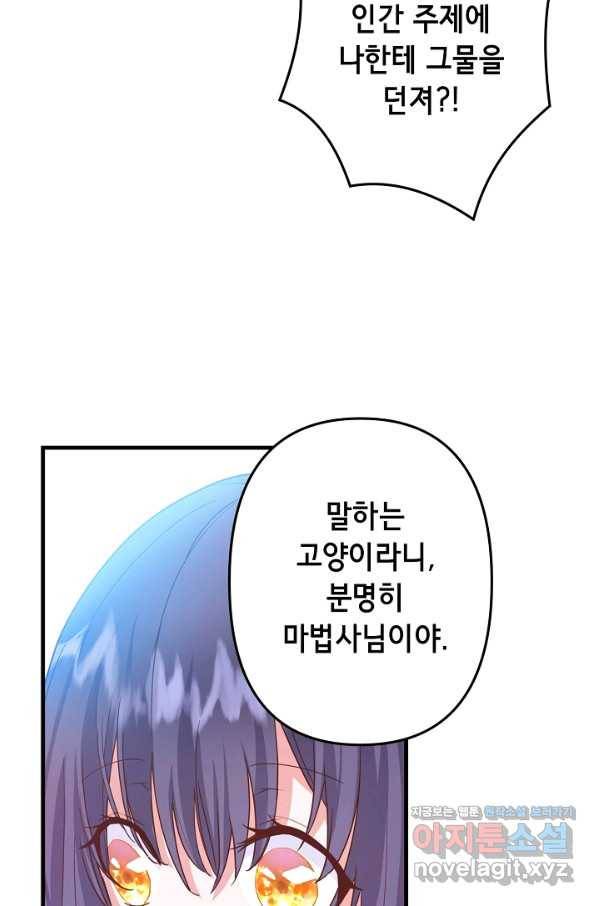 마법사를 위한 동화 23화 44