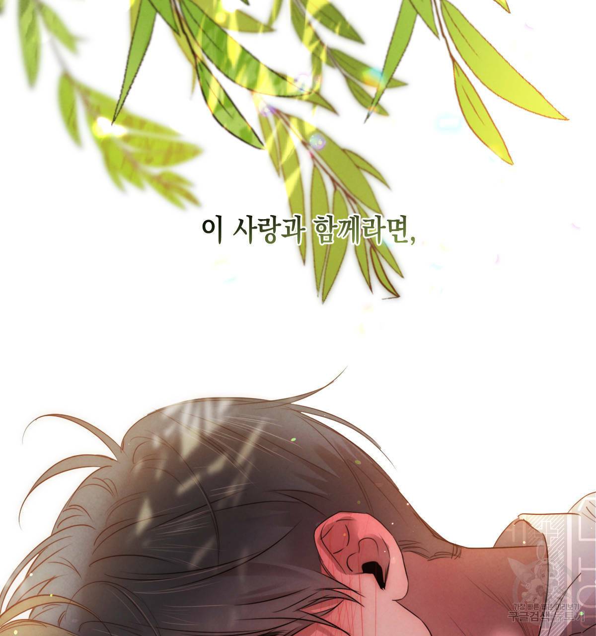 버드나무 로맨스 56화 완결 137