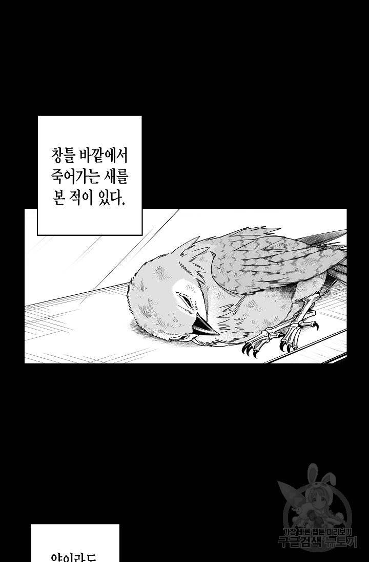 용의 귀로 62화 2