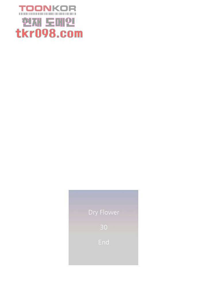 드라이 플라워 (Dry flower) 30화 48