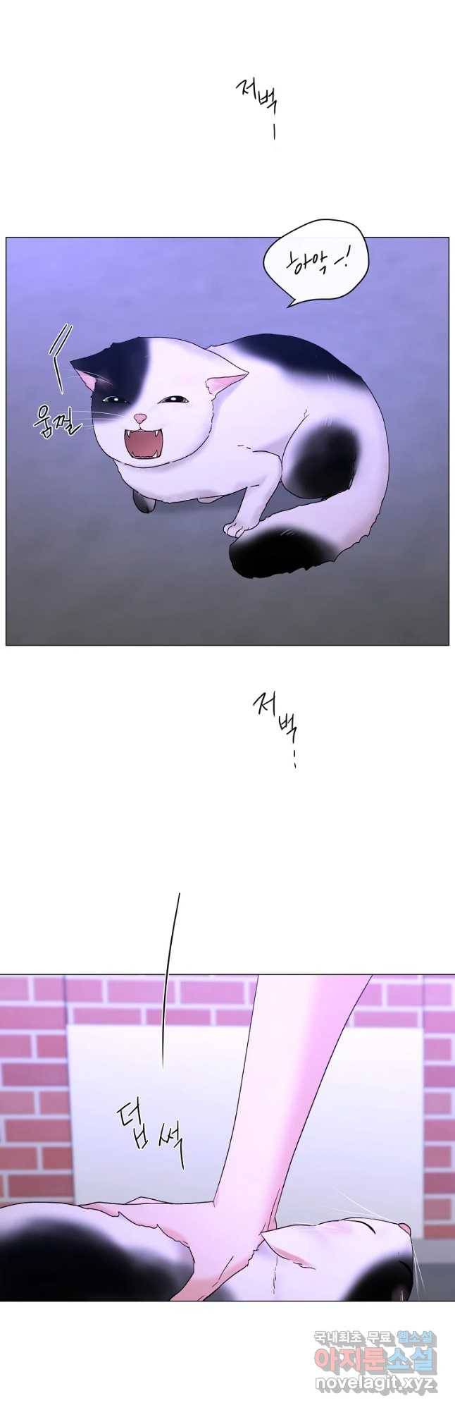 우주를 삼킨 별 33화 떠날 수 없어 5