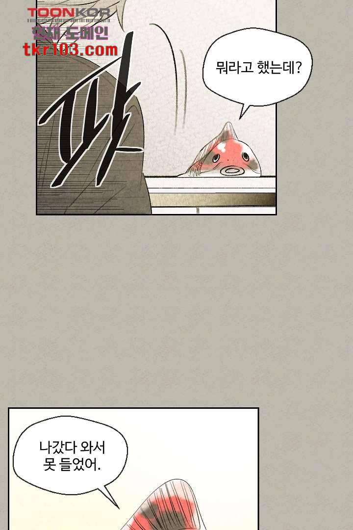 한밤의 공생 22화 5