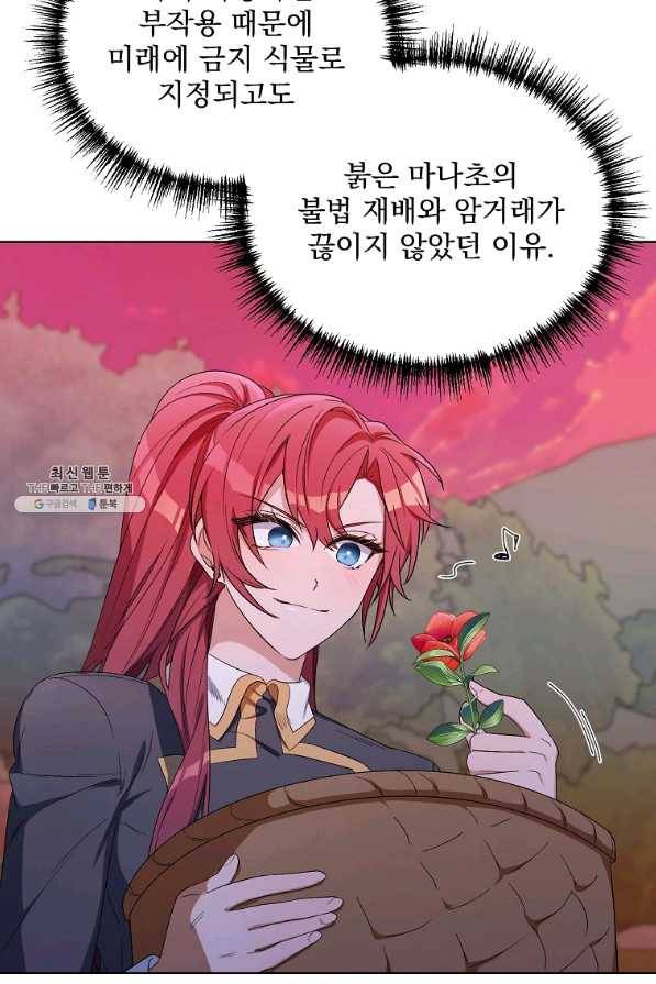2회차는 레드카펫으로 38화 11