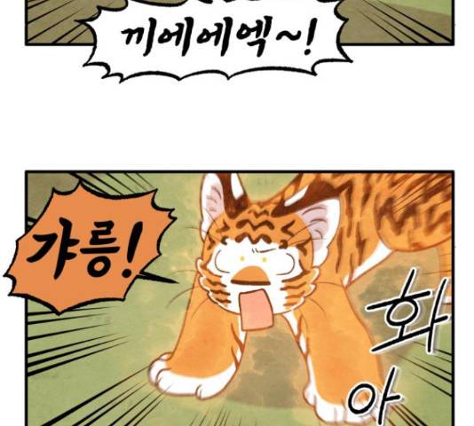 범이올시다! 104화 19