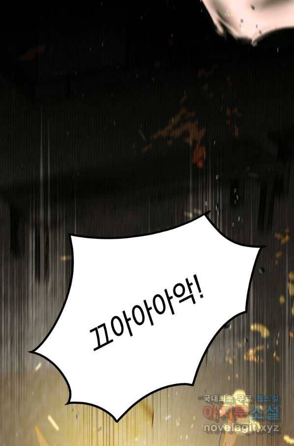다정한 그대를 지키는 방법 66화 17