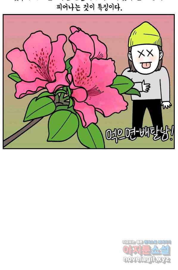 크레이지 가드너 42화 꽃나무 12