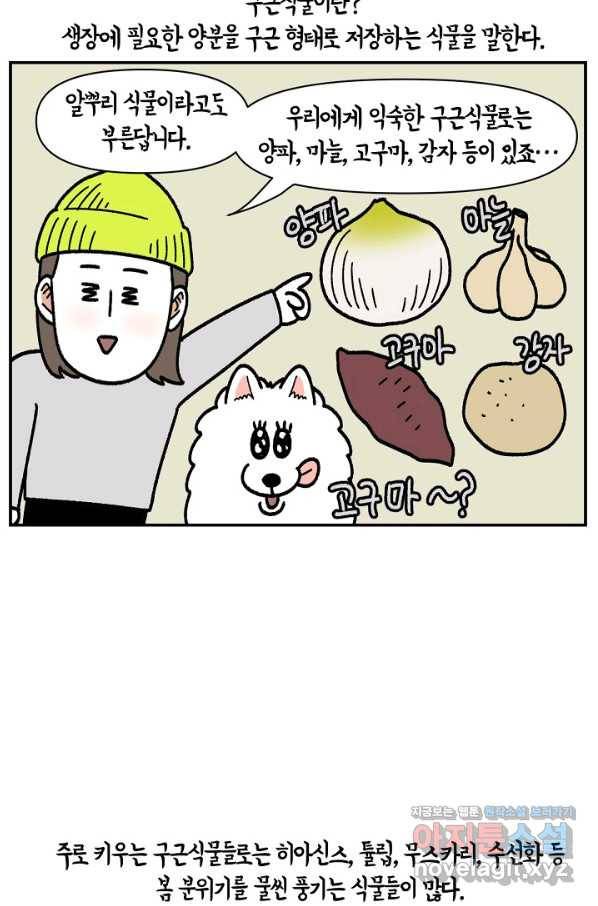 크레이지 가드너 43화 구근식물 3