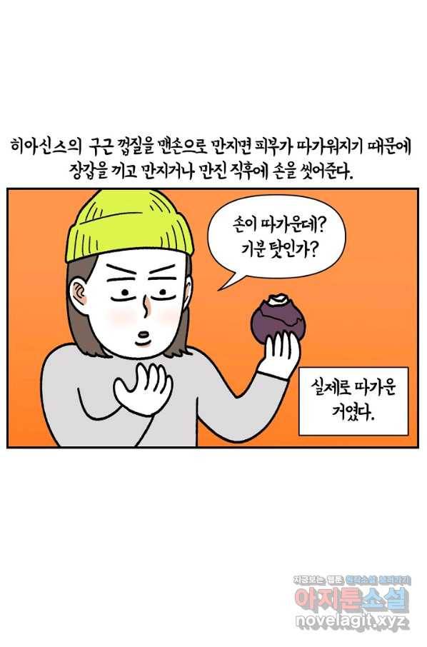 크레이지 가드너 43화 구근식물 9