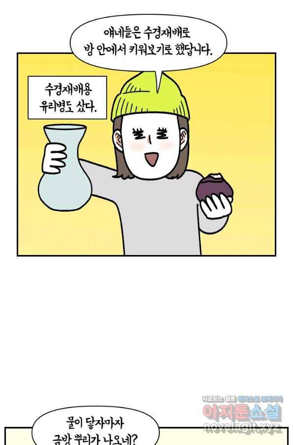 크레이지 가드너 43화 구근식물 10