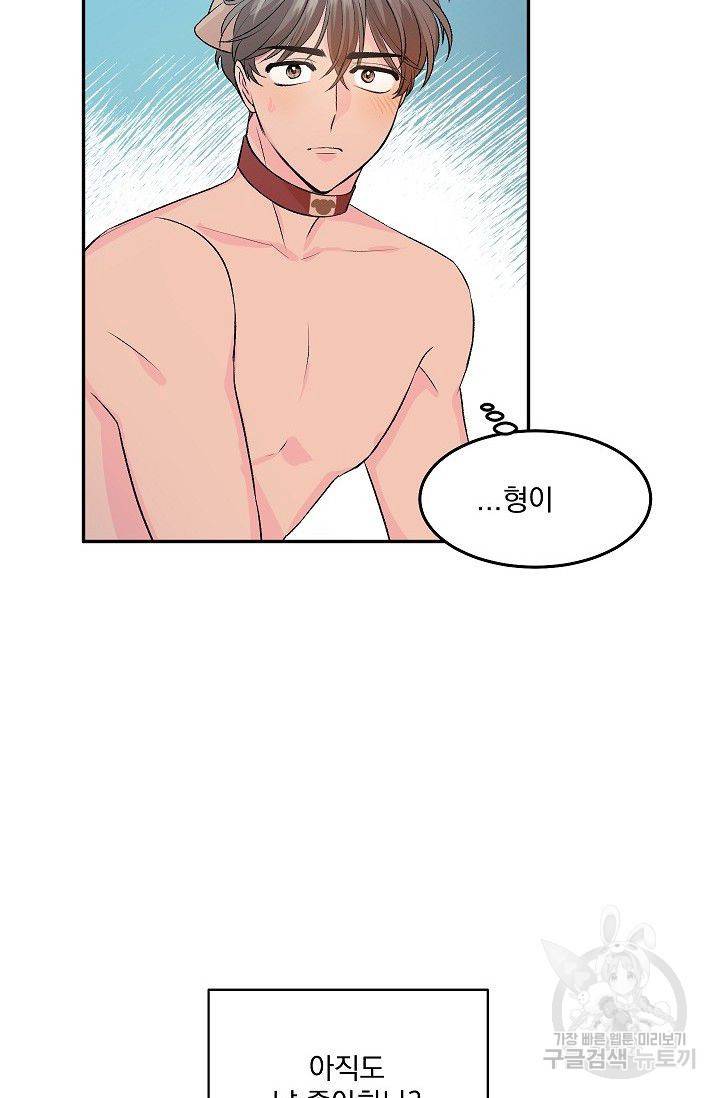 굿 독 마이 보이 3화 34
