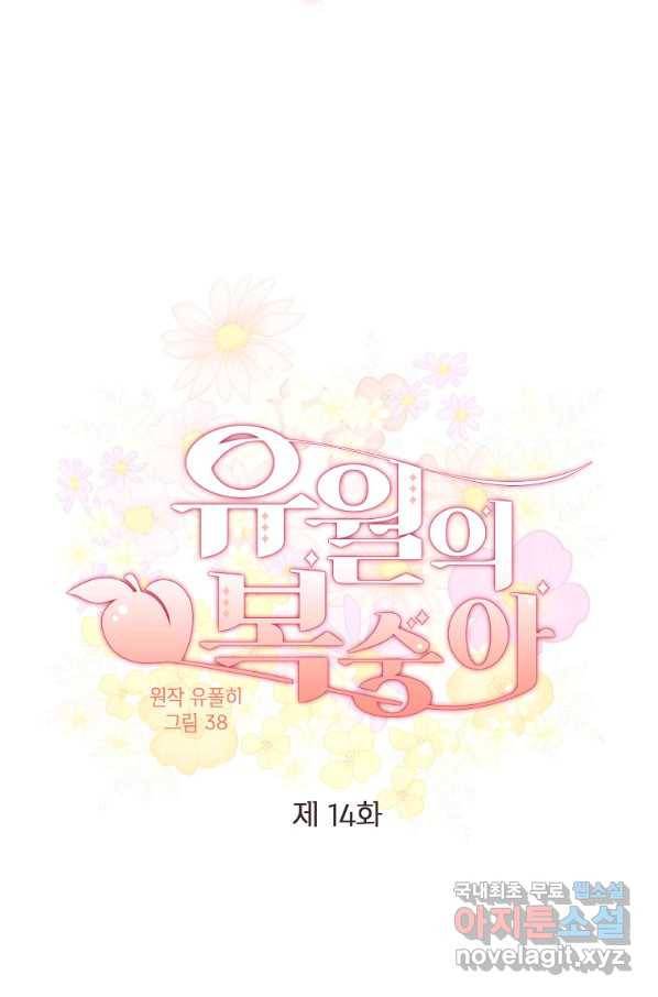 유월의 복숭아 14화 13