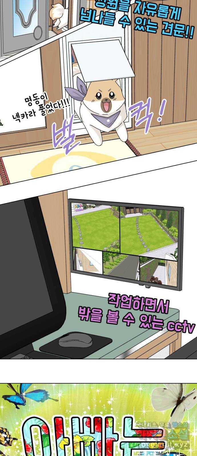 개를 낳았다 시즌2 100화 2